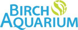 Birch Aquarium